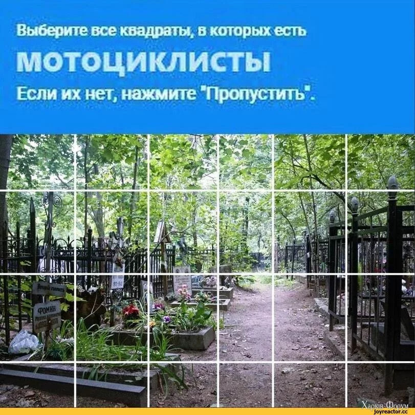 %D1%81%D0%BE%D1%87%D0%BD%D0%B8%D1%86%D0%B0-7066386.webp