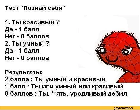 %D1%81%D1%82%D1%8B-%D1%82%D0%B5%D1%81%D1%82-735335.webp
