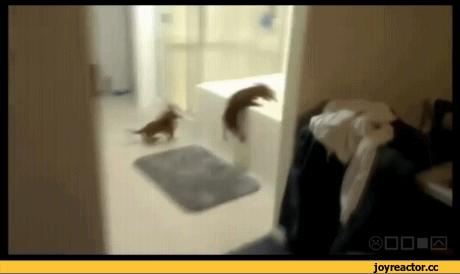 %D1%81%D1%8B-%D0%92%D0%B0%D0%BD%D0%BD%D0%B0-909043.gif