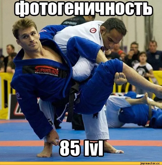 %D1%82%D1%8C-85lvl-%D0%BD%D0%BE%D1%80%D0%BC-626062.webp