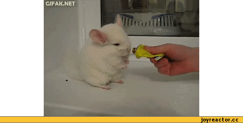 %D1%84%D0%B0-%D0%B3%D0%B8%D1%84%D0%BA%D0%B0-208210.gif