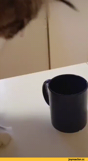 D1%84%D0%BA%D0%B8-%D0%BA%D0%BE%D1%82%D1%8D-6254381.gif