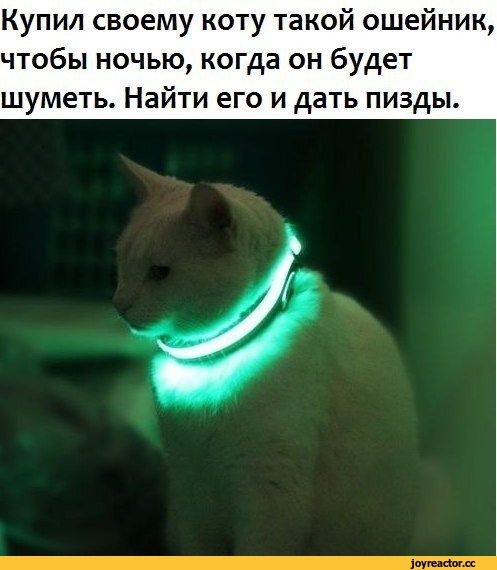 %D1%85%D0%B0%D1%8F-%D0%B8%D0%B4%D0%B5%D1%8F-923308.jpg