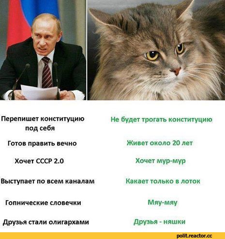 D1%8B-%D1%81%D1%82%D1%80%D0%B0%D0%BD%D1%8B-1724144.jpg