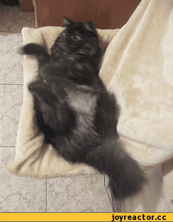 %D1%8D-%D0%B8%D0%B3%D1%80%D0%B0%D0%B5%D1%82-471332.gif