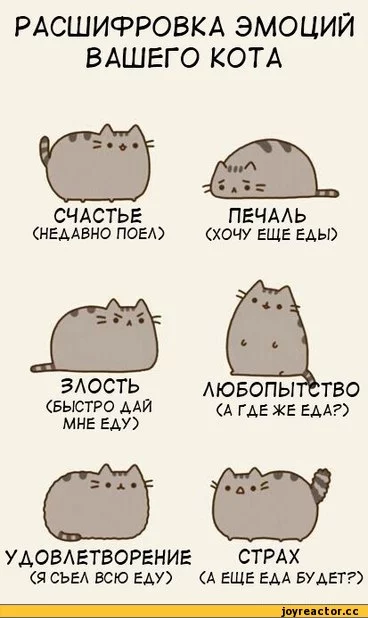 D1%8D%D0%BC%D0%BE%D1%86%D0%B8%D0%B8-pusheen-266845.webp