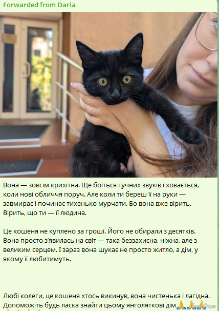 Д1.PNG