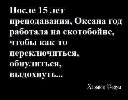 d1134d7ba47806914f27.webp