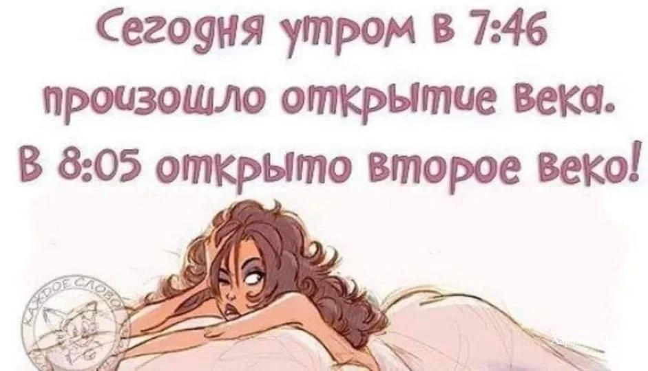 d118b839f6d8b0c751431.webp