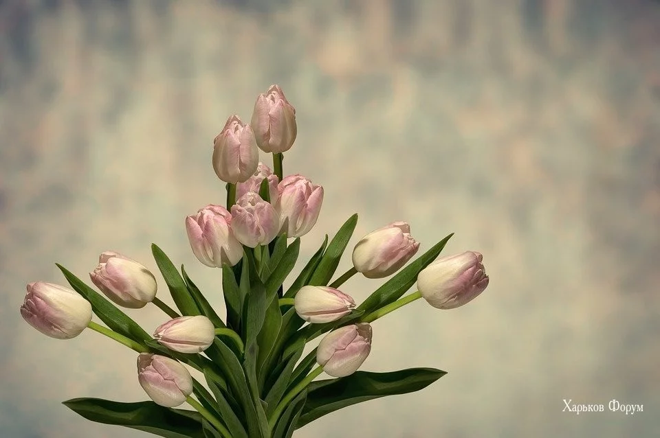 d138054d07994956149b9.webp