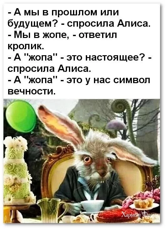 d1439b45b0a7f50c9.webp