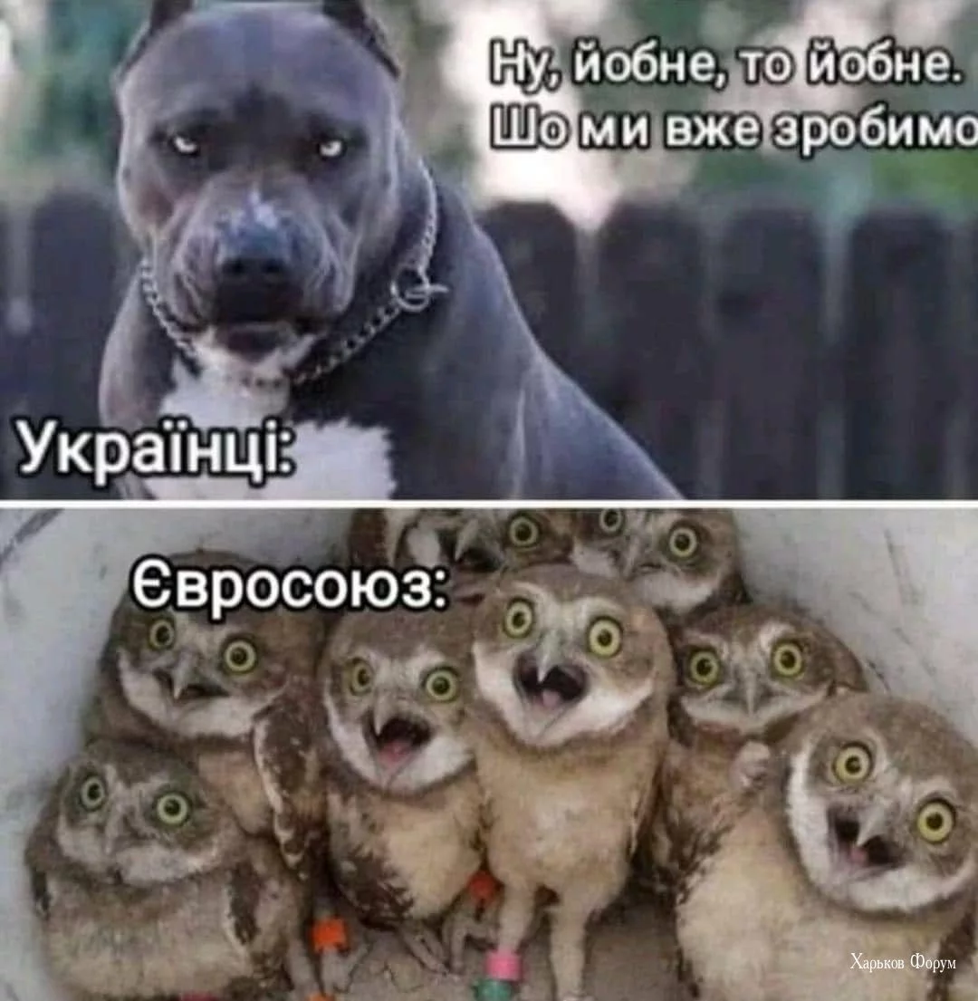 d16df668a6bb3218.webp
