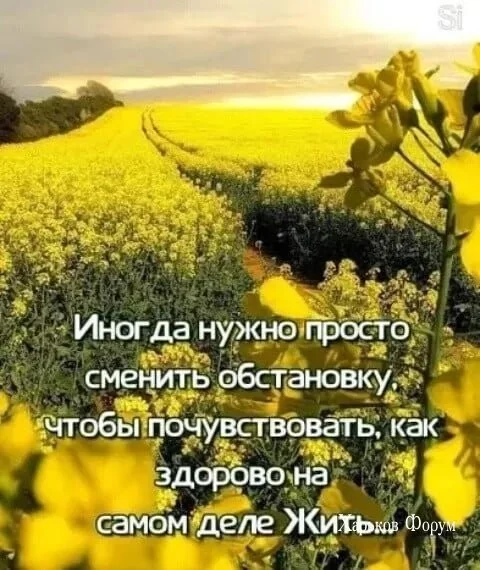 d18cc57e842b228369d5.webp