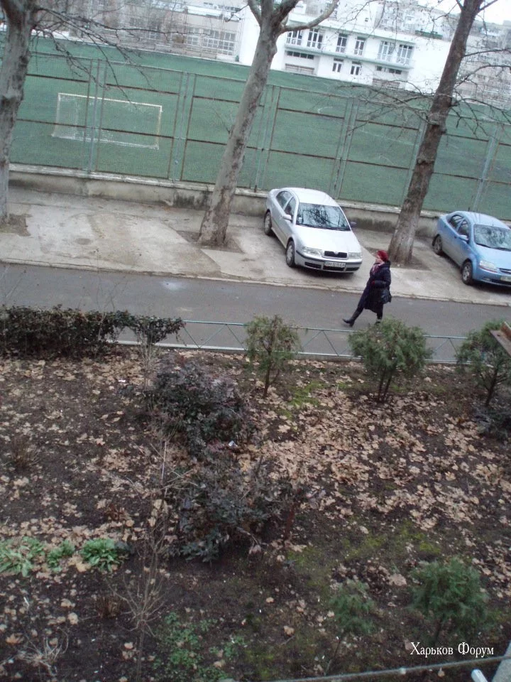 d197ec365db916317569705.webp