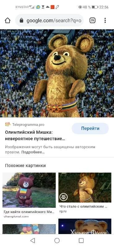 d19c698d3b726f216507341.webp