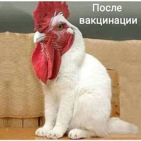 d19cc9d2da3712833cf3958a864b4cc0.jpg