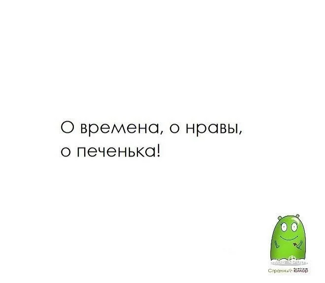 d1a2ce93a22d1728.webp