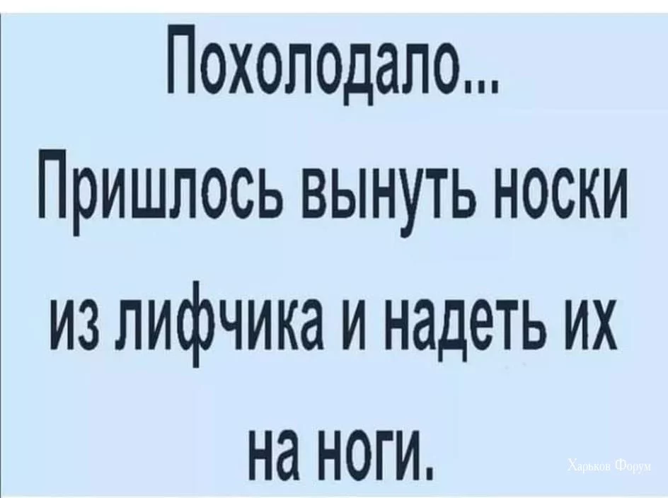 d1aa46de25d2476f05.webp