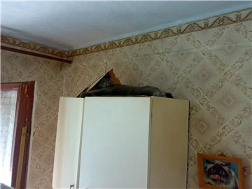 d1abae.webp