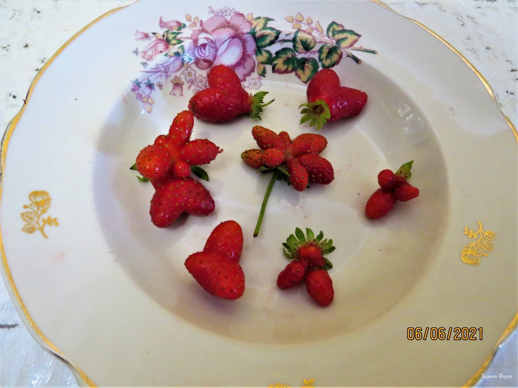 d1ac0f244f156f27.webp