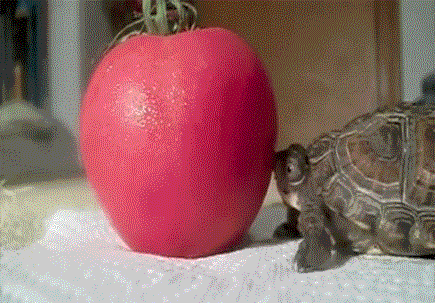 d1b754ecd4a11ef5be5c96b.gif