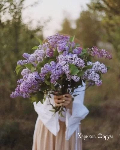 d1c73206e84969eec9ad4.webp
