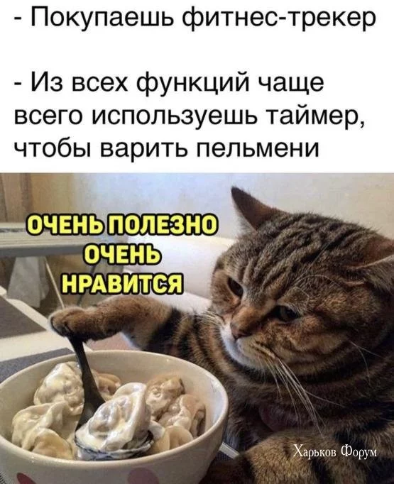 d1d6e52a4832f462057f.webp