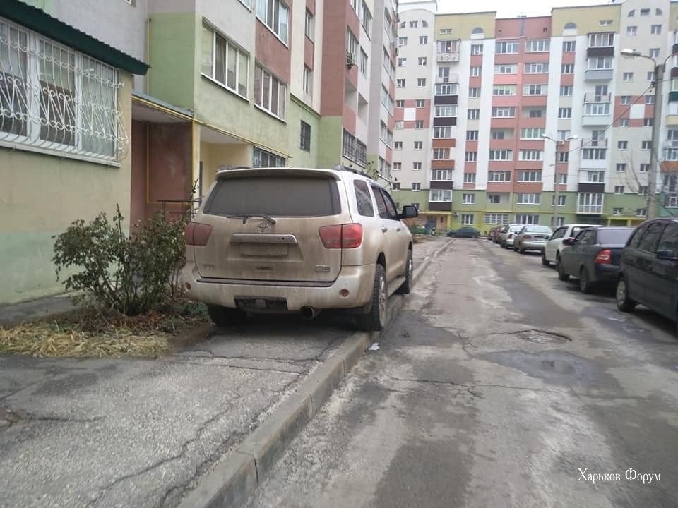 d1ffc07ea652e05e35fb.jpg