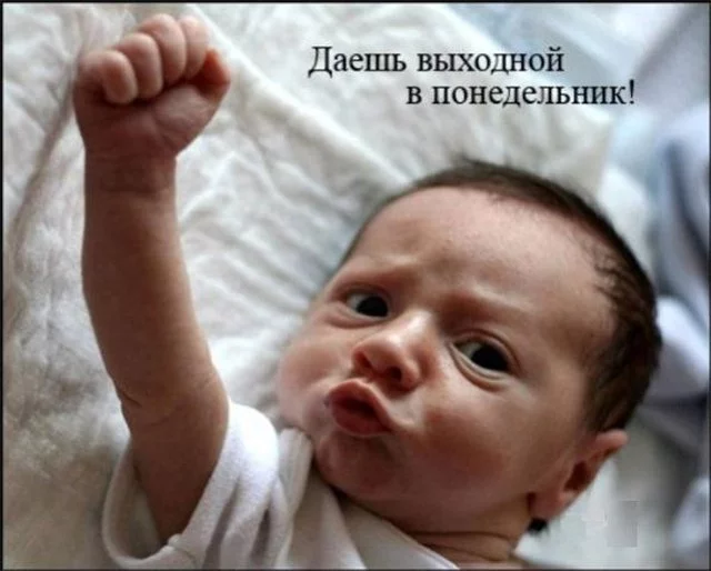 d1fgbb.webp