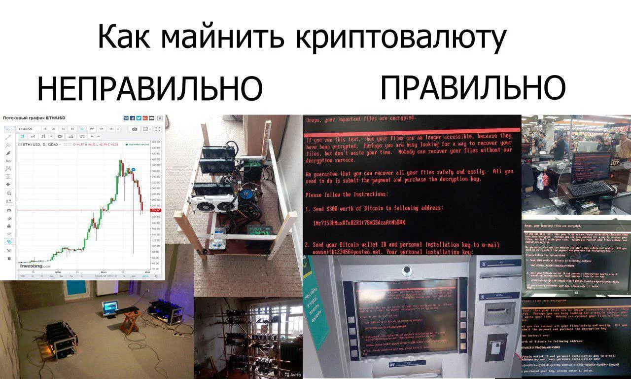 d1jbfj.webp