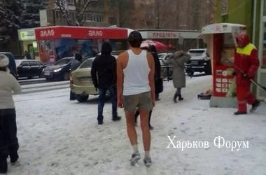 d2087e4806707effb0f.webp