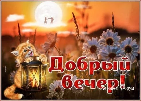 d20bdf4e0f2c7ffb3c.webp