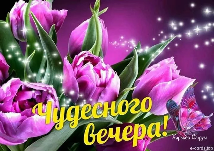 d20d85f67340e5afad.webp