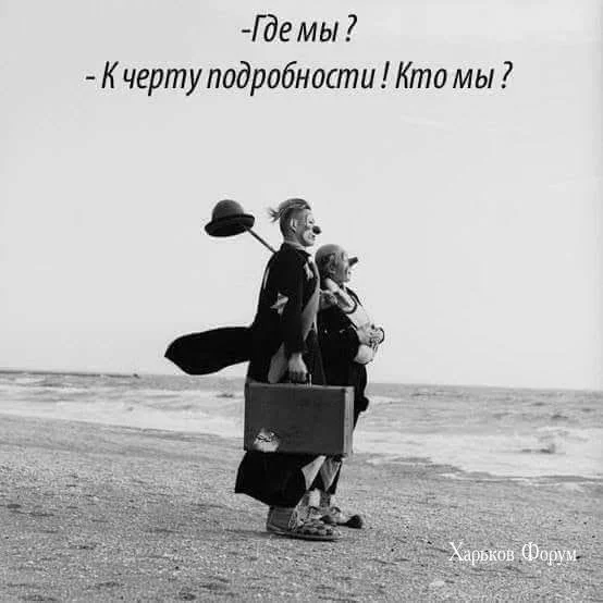 d2225cb3acbeb8b01c34.webp