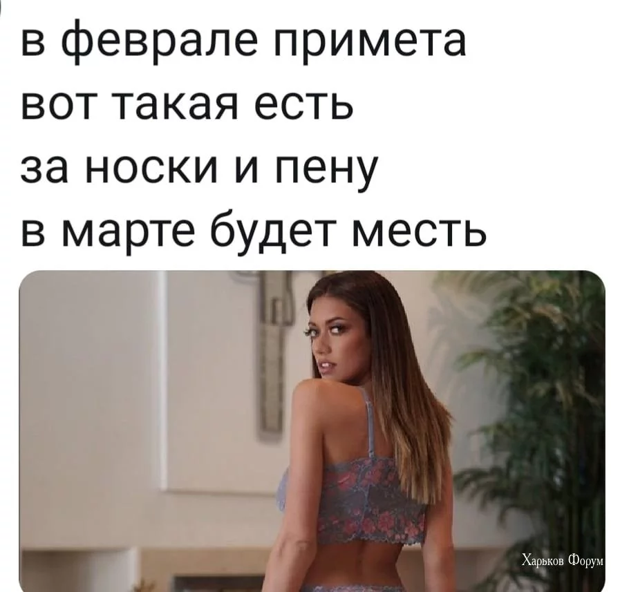 d2281aaee393aea4677d.webp