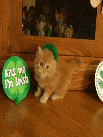 d23d0579e926d208e11e.gif