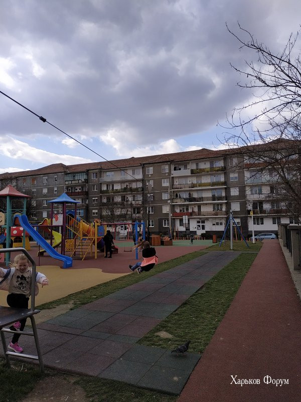 d257d4c643abc658c.jpg