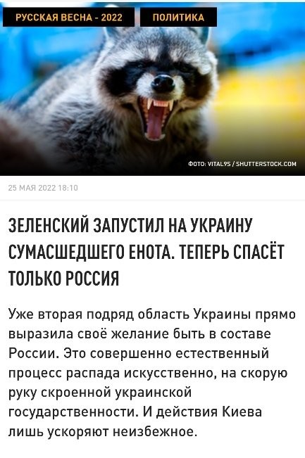 d26a0dc0d6c9749b6c5b.jpg