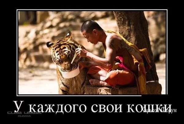 d26f36e49c3dd76fd.webp