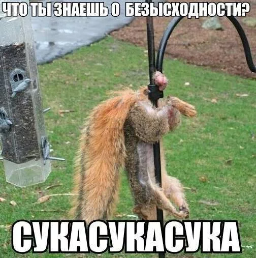 d2725fd7b46a48d4b280b841eb32ffc8.webp