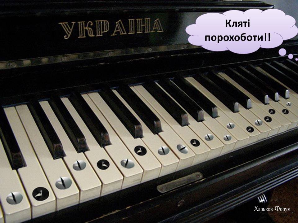 d275f90d664d188cb.jpg