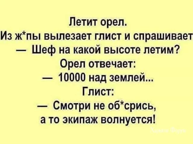d27ad9b4d411eb64293.webp