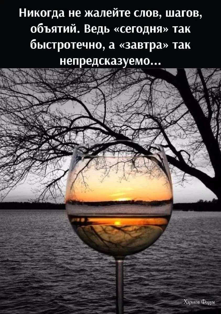 d27dee7d00ed2116d2431.webp