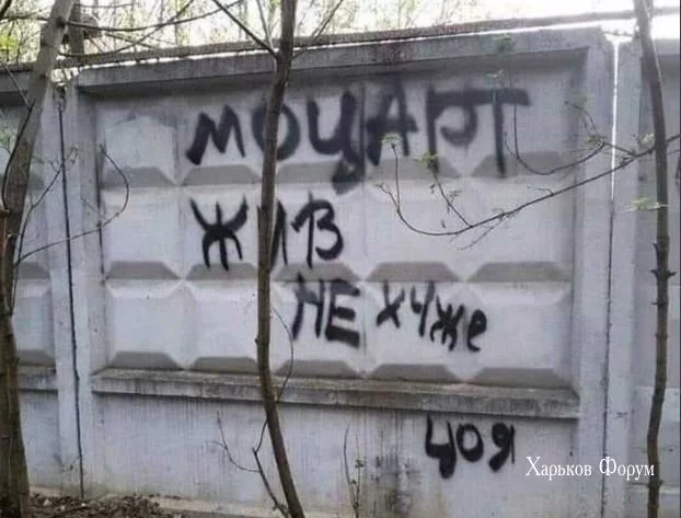 d284aad82156c30d7739df4.webp