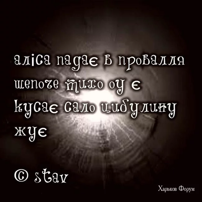 d2a837334a8cdb69.webp
