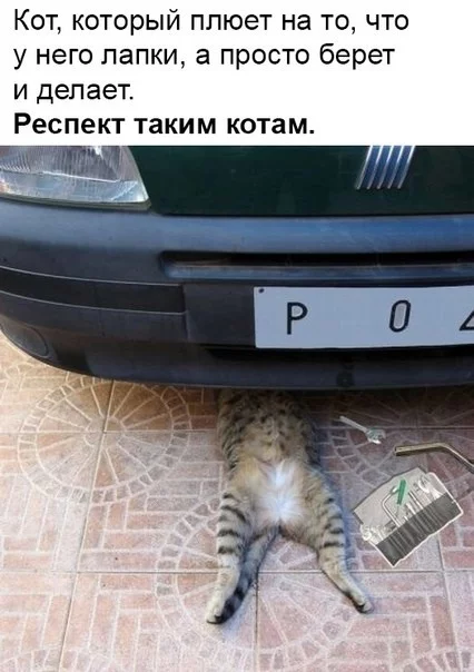 d2afgc.webp