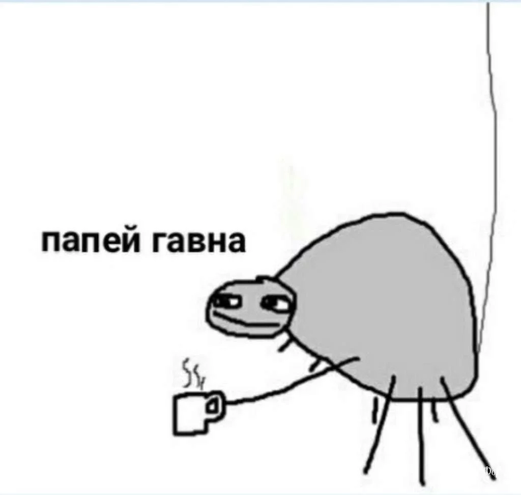 d2b5da65e6a9db3597dc4369.webp
