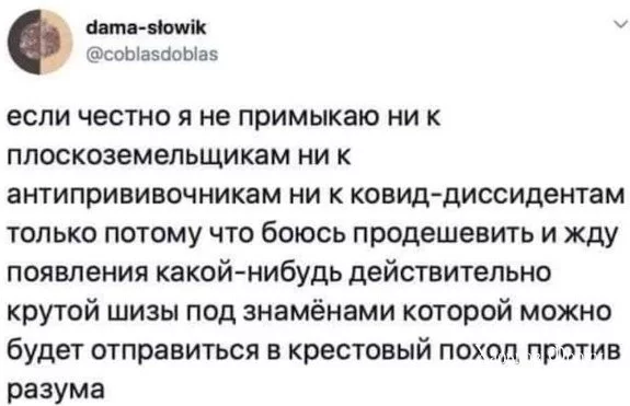 d2b91a0352e70d03228c.webp