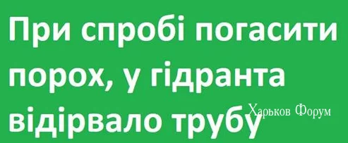 d2c7388537384267ec64c6c.webp