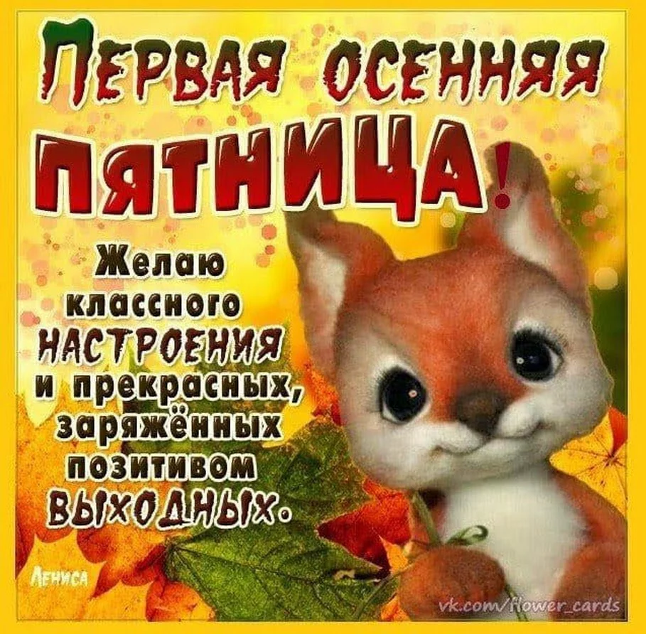 d2cjbj.webp